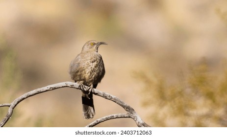 20选5最新开奖号码结果及历史走势分析