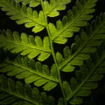 HBO独家直播:热门美剧与电影实时在线观看 e340auwze