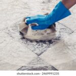 2025年第91期彩票开奖结果最新公布 h7zgh08qw