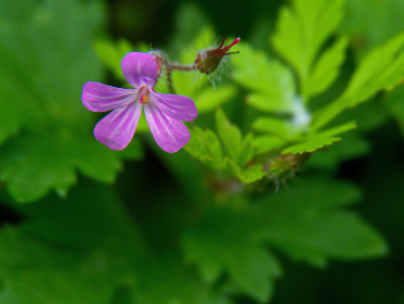 2025年第125期3D开奖结果最新公布