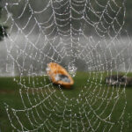 21009期足彩开奖结果揭晓:大奖花落谁家? rka8a