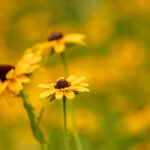 h直播贴吧最新热门话题深度互动交流专帖 s1il1xxf6y