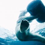 2104期双色球开奖结果揭晓,大奖花落谁家? syfka4le