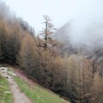 21018期足彩开奖结果揭晓:最新中奖号码公布 u88981