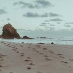 2025年第150期开奖结果查询与号码回顾 xo90874u9g