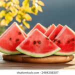 2025年第42期开奖资料完整版最新发布 z60tpiit